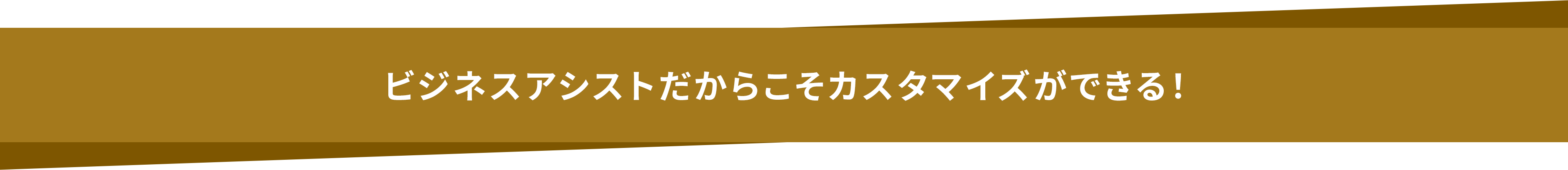 ビジネスアシストだからこそカスタマイズができる